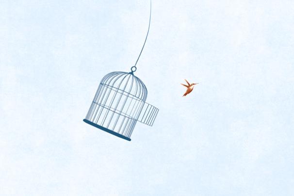 A graphic illustrationcof a bird flying out of a cage